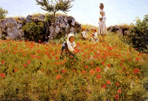 Picking Poppies, Sora — Viggo Pedersen