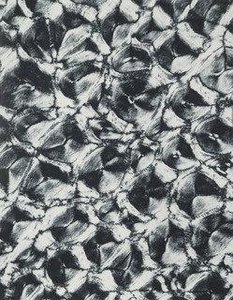 Segment Of Rhinoceros Horn — Laure Albin Guillot
