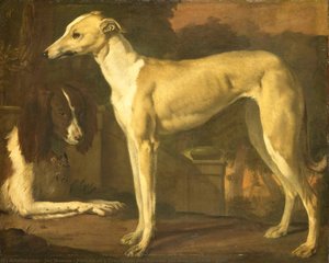 Portrait Of A Greyhound And Spaniel, Jan Weenix, 1665 - 1680 — Jan Weenix