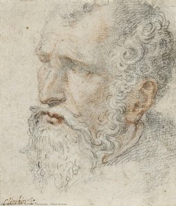 Head of man