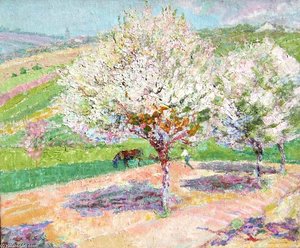 Arbres En Fleurs