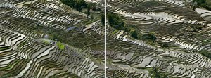 Rice Terraces #3a & #3b