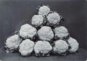Broccoli Leamington — Charles Jones