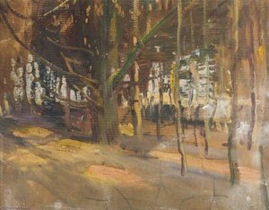 Studie eines Waldes (Verso)