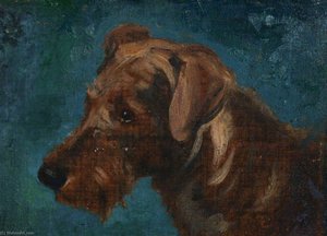 Head of a Dog