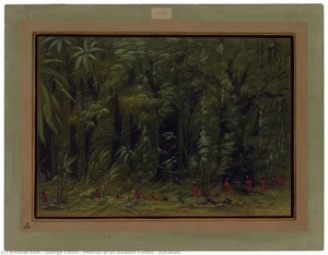 Interior Of An Amazon Forest - Zurumati — George Catlin