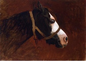 Profile Of A Horse — Jean-léon Gérôme