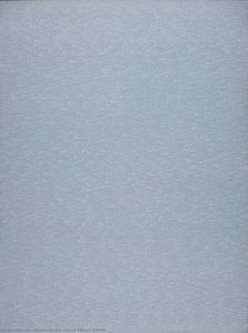 Detalle 680350-707459 — Roman Opałka