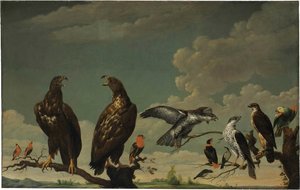 A concert of birds