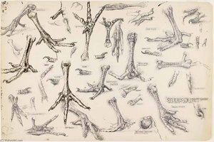 Studies Of Feet (chickens) — Bruce Moore