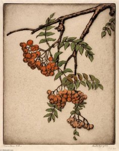 Mountain Ash — Bertha Evelyn Jaques