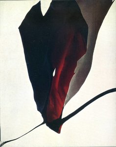 Untitled (438) — Paul Jenkins