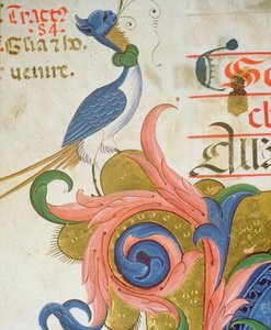 Fantastical Bird With Human Head Standing
