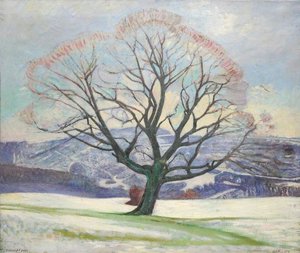 Wych Elm In Winter — Sir William Rothenstein