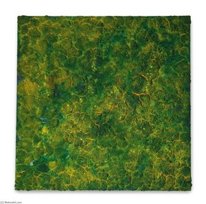 Untitled — Bosco Sodi
