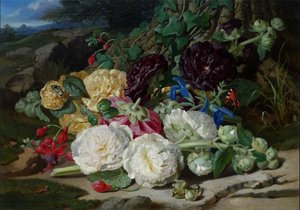Hollyhocks and Ivy