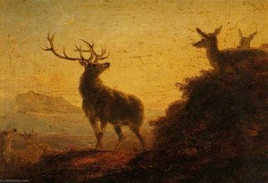 Sketch Of Deer, Evening — Džejms Giles