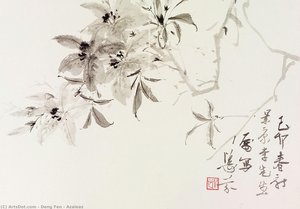 Azaleas