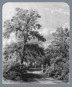 The Grandmother Tree, Near Middletown, Long Island — William Rickarby Miller
