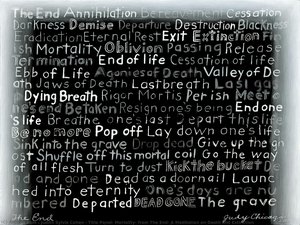 Title Panel: Mortality, From The End: A Meditation On Death And Extinction — Judy Chicago, Contemporary Conceptual Art