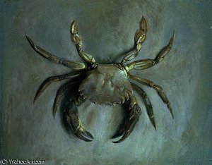 Velvet crab