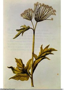 Angelica, from 'La Guirlande de Julie