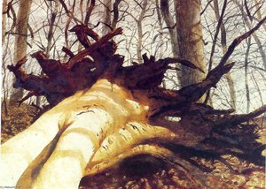 Fallen — Jamie Wyeth