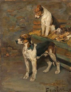 Foxhounds