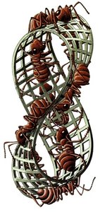 Moebius Band Ii — Maurits Cornelis Escher