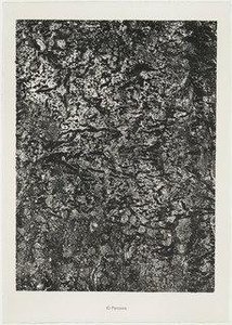 Paths (parcours) From The Portfolio Soil, Earth (sols, Terres) From Phenomena (les Phénomènes) — Jean Philippe Arthur Dubuffet