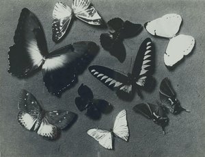 Butterflies — Man Ray, Surrealist Photography