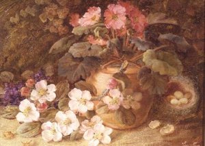 Still Life With Apple Blossom, Primula And Bird's Nest — Vincent Clare