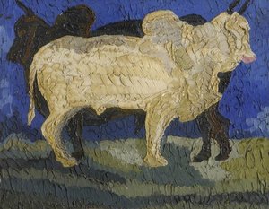 Brahmin Bulls
