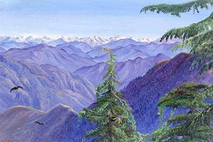From Nahl Dehra Near Simla (shimla), Himachal Pradesh, India — Marianne North, Impressionism