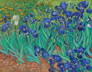 Irises\n\n(front) — Vincent Willem Van Gogh, Post-impressionism