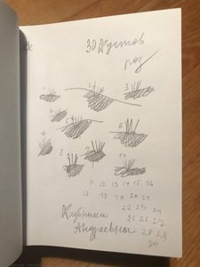 Untitled. Srawberry Andreevna — Alevtina Kakhidze