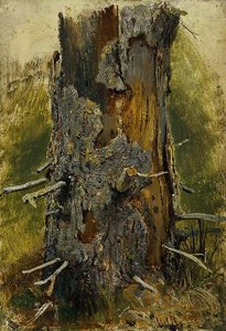 The Bark On The Dry Trunk — Ivan Ivanovich Shishkin