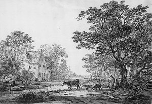 Forest Landscape Sun — Abraham Van Strij
