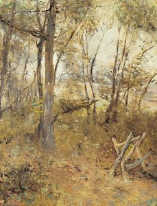 A Wood