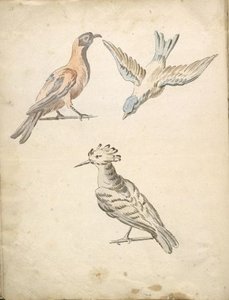 Perched Magpie, Perched Woodpecker, And A Bird In Flight — Jean-baptiste Oudry