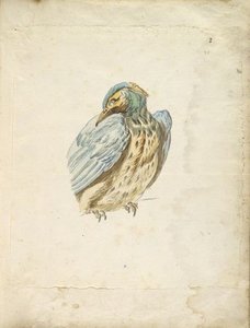 Perched Bird Looking Over Its Shoulder — Jean-baptiste Oudry