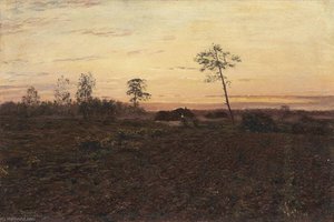 Evening