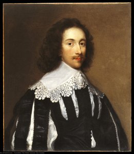 Portrait Of A Young Man — Cornelius Der Ältere Jonson Van Ceulen