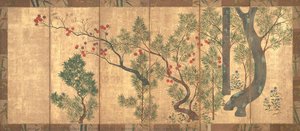 Maki (Chinese black pine) and maple trees