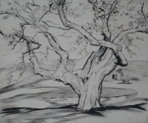 Mcevoys Apple Tree — Alfred Heber Hutty
