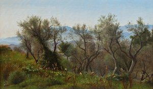 Olive Trees at Olevano with Mountains in the Background