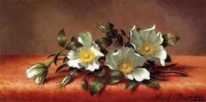 The Cherokee Rose — Martin Johnson Heade