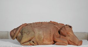 Sleeping Pig — Pushpamala N.
