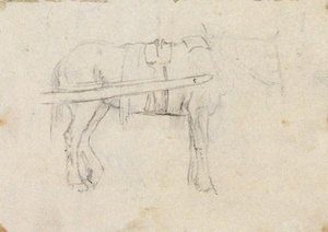 A Horse In Harness — John Frederick Lewis