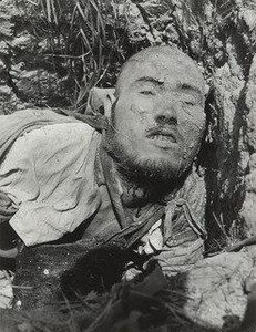 Dead Jap Sniper At Myitkyine. I — Bernard Hoffman